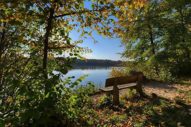 邱彪更衣室训话：辽宁4冠不是天上掉馅饼 是机会就投&人人防守.