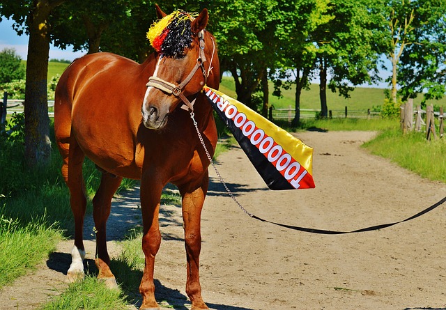 篮球是一项 篮球是一项