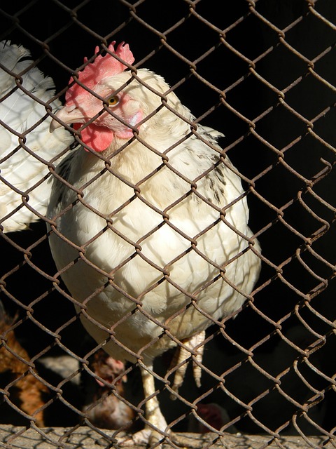 形势变得严 形势变得严