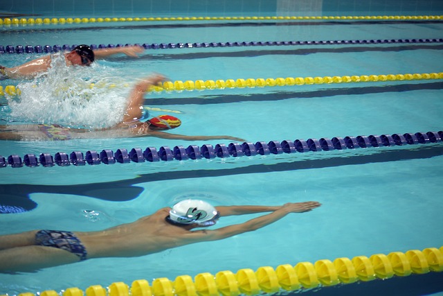 的重要章节 的重要章节